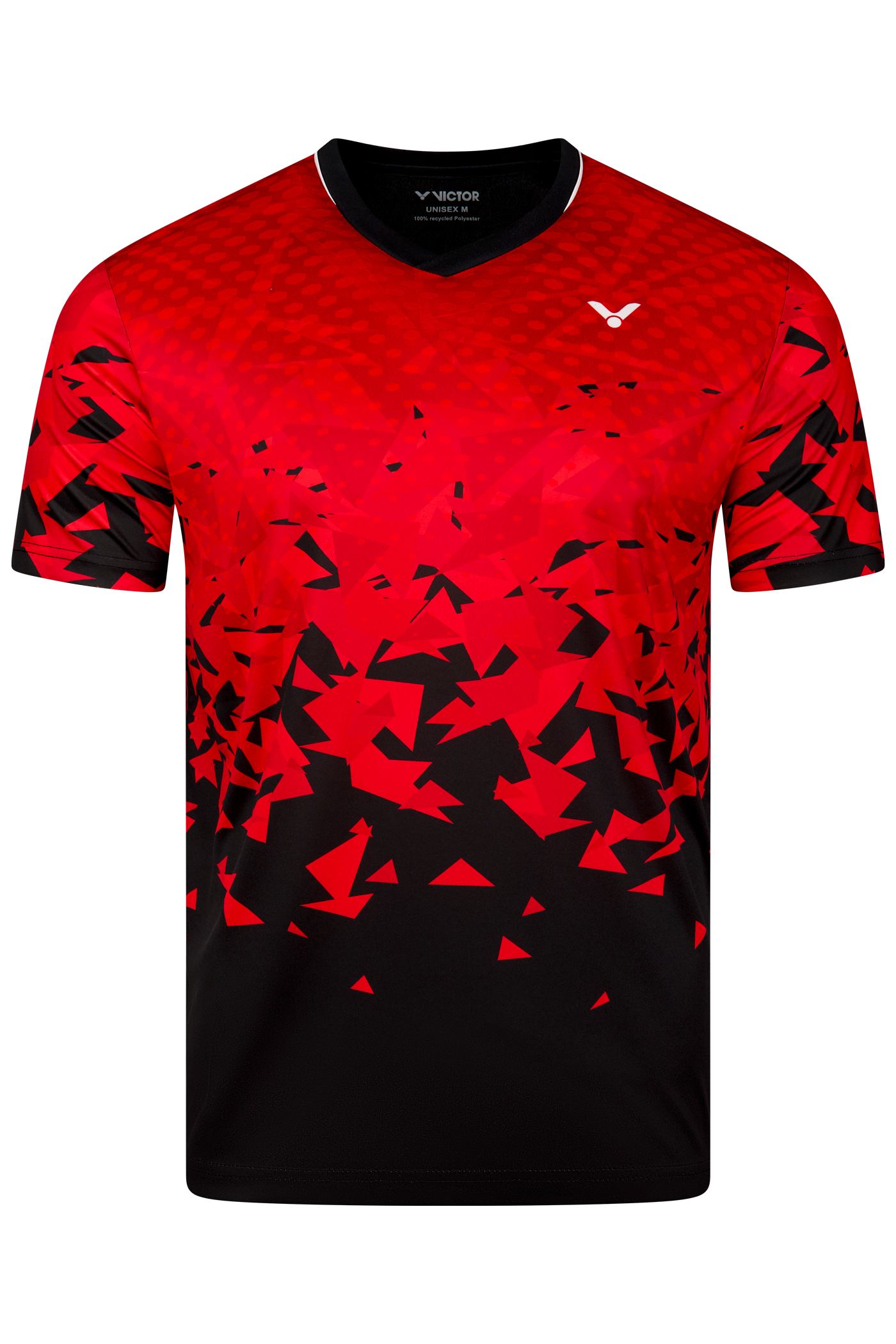 T-Shirt T-53101 D